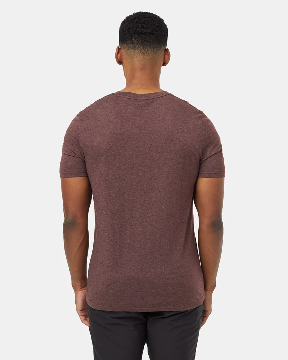 Bear Claw T-Shirt - Image 2